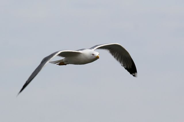 img_6974.jpg