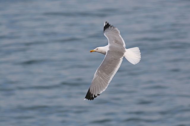 img_6983.jpg