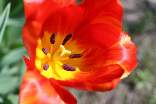 img_6921.jpg