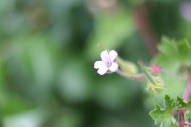 img_7291.jpg