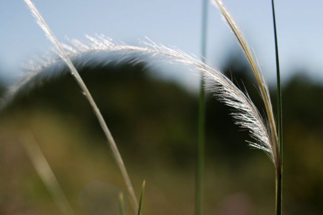 img_7606.jpg