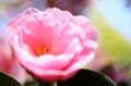 img_6888.jpg