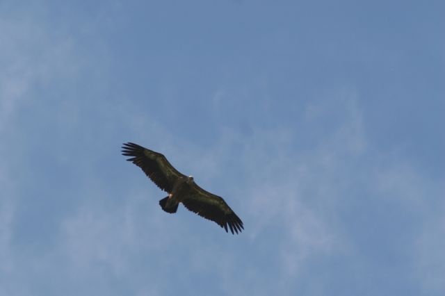 img_7386a.jpg