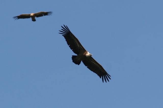 img_7403a.jpg