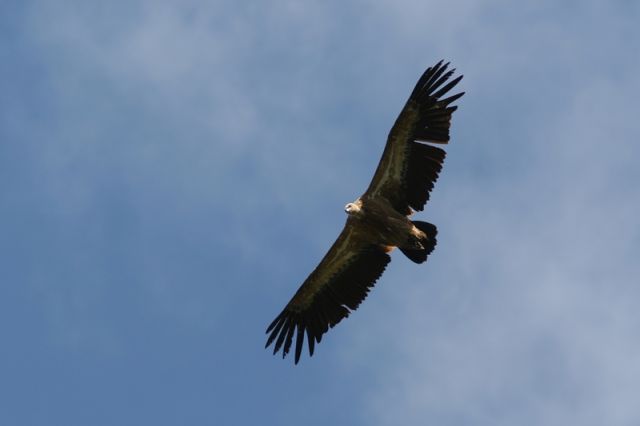img_7416a.jpg