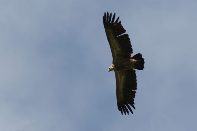 img_7420a.jpg