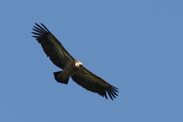 img_7433a.jpg