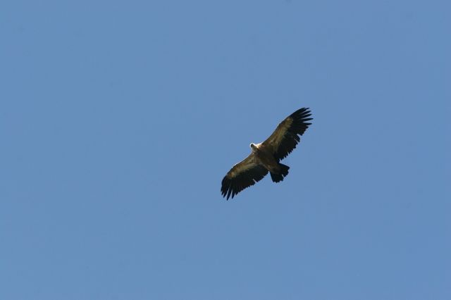 img_7479a.jpg