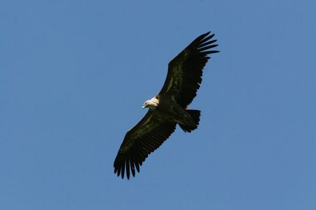 img_7510a.jpg