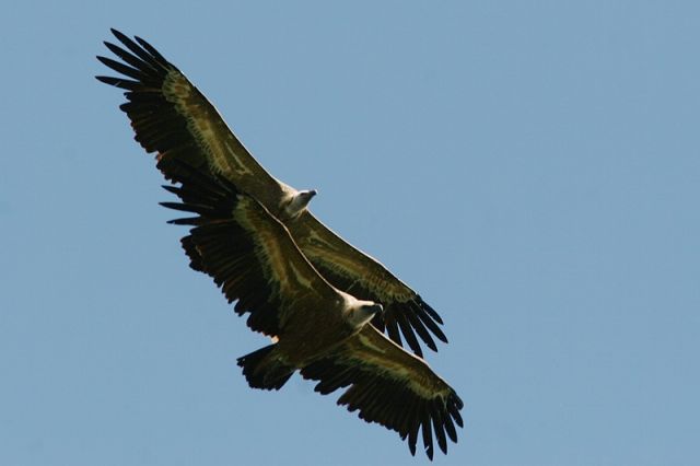 img_7533a.jpg