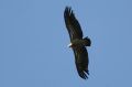 img_7429a.jpg
