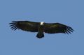 img_7459a.jpg