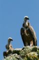 img_7563a.jpg