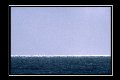 image aleatoire