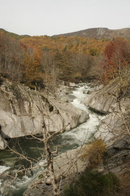 2008-11-09_Haute_Dourbie_002.jpg