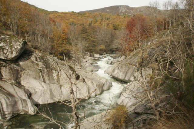 2008-11-09_Haute_Dourbie_004.jpg