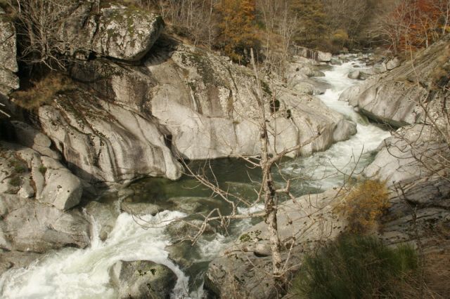 2008-11-09_Haute_Dourbie_005.jpg