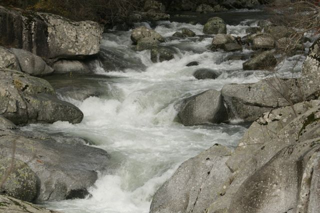 2008-11-09_Haute_Dourbie_010.jpg