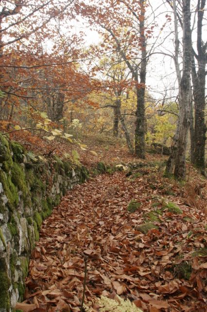2008-11-09_Haute_Dourbie_243.jpg