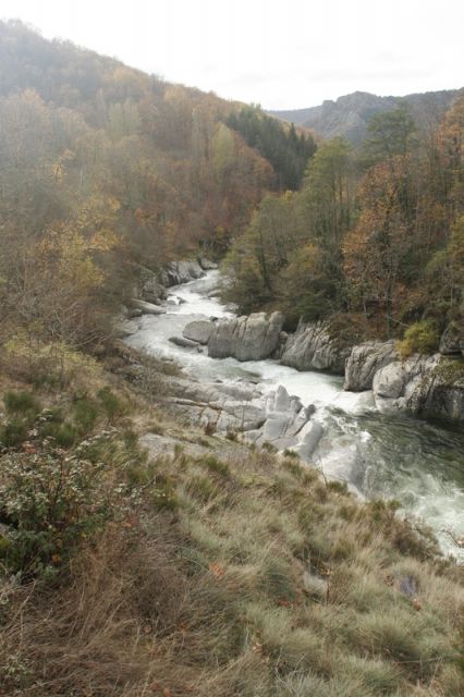 2008-11-09_Haute_Dourbie_251.jpg