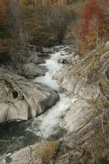 2008-11-09_Haute_Dourbie_254.jpg