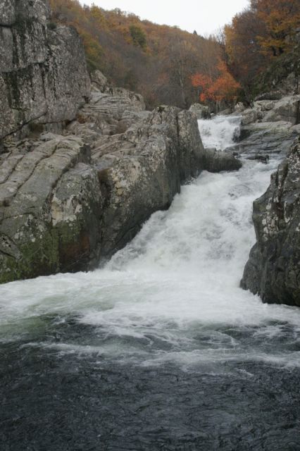 2008-11-09_Haute_Dourbie_264.jpg