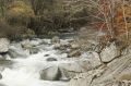 2008-11-09_Haute_Dourbie_009.jpg
