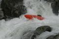 2008-11-09_Haute_Dourbie_209.jpg