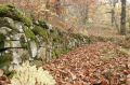 2008-11-09_Haute_Dourbie_241.jpg