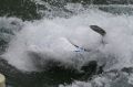 1img_0336.jpg