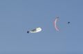 2009-06-27T20:27:50_0016.JPG