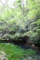 img_7334.jpg