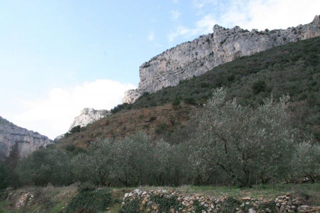 img_6564.jpg