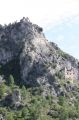 img_6523.jpg