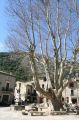 img_6557.jpg