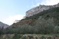 img_6564.jpg