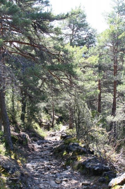 img_6648.jpg