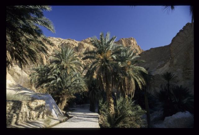 Tunisie_Mars_1998_008_Atlas.jpg