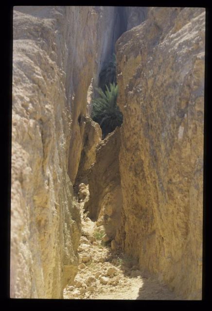 Tunisie_Mars_1998_020_Atlas.jpg