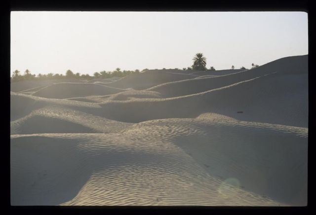 Tunisie_Mars_1998_041_Douz.jpg