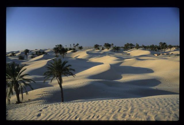 Tunisie_Mars_1998_051_Douz.jpg