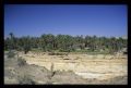 Tunisie_Mars_1998_004_Atlas.jpg