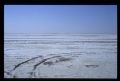 Tunisie_Mars_1998_035_Chott.jpg