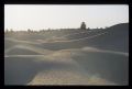 Tunisie_Mars_1998_041_Douz.jpg