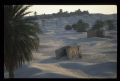 Tunisie_Mars_1998_042_Douz.jpg