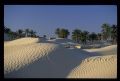 Tunisie_Mars_1998_046_Douz.jpg